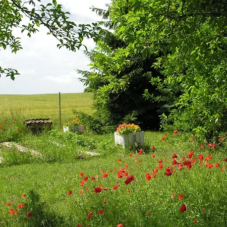 Haus Achterwiek - Ferienapartment Appartamento *