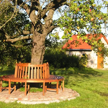 Haus Achterwiek - Ferienapartment *