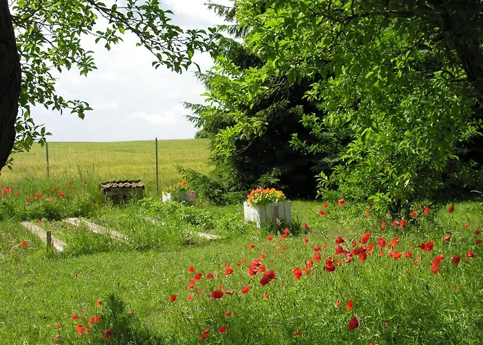 Haus Achterwiek - Ferienapartment Appartamento *