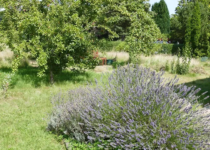 Haus Achterwiek - Ferienapartment Appartamento